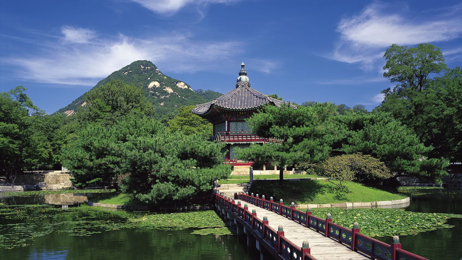 世界保龄球高校联赛季前战术分析视频发布，保龄球世界锦标赛